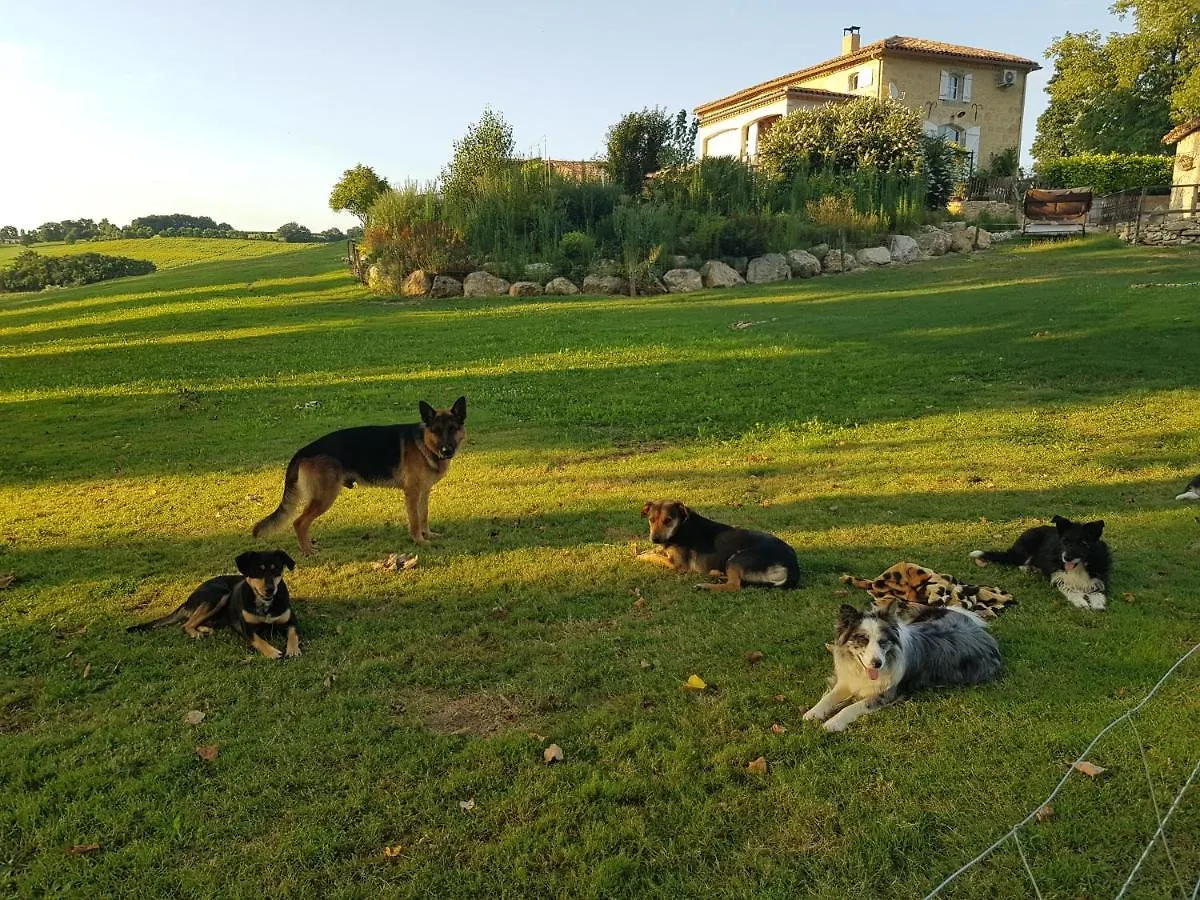 Holiday home Boubee Villa Mas-d'Auvignon France